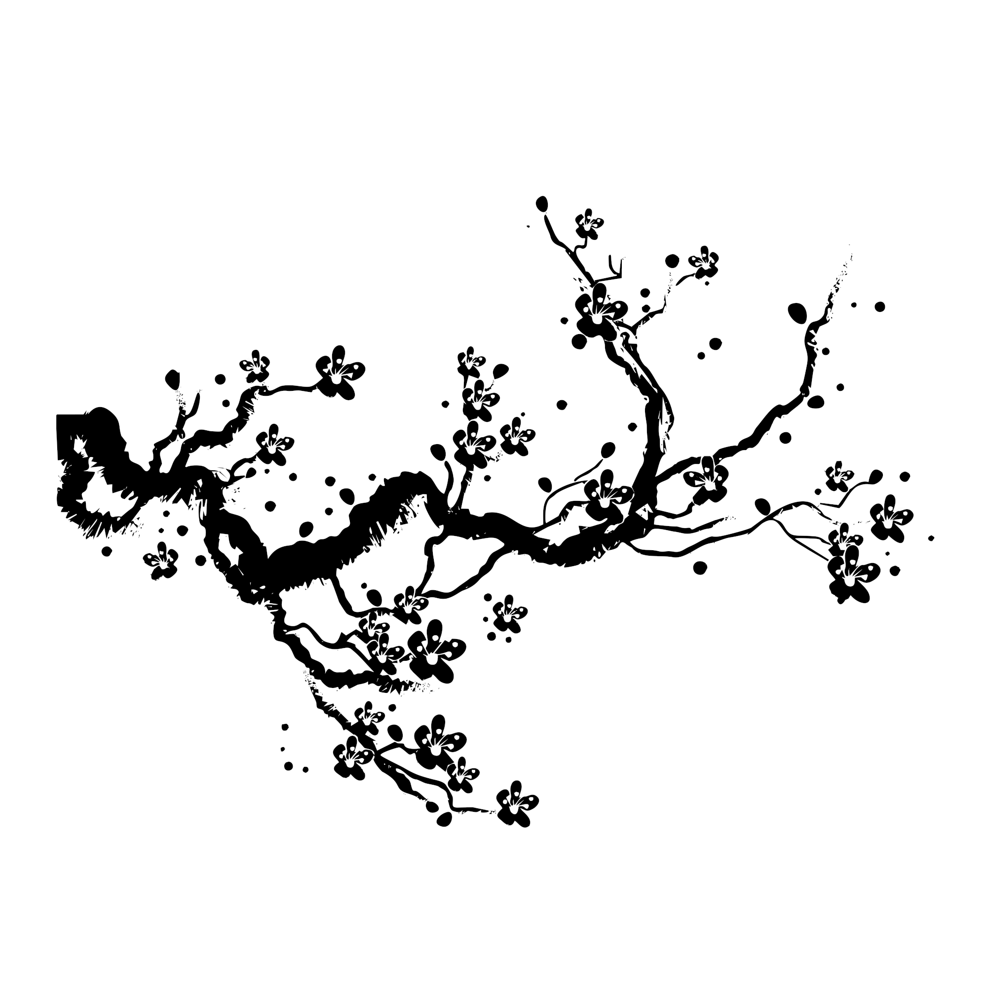 Kirschblüte - Cherry Blossom